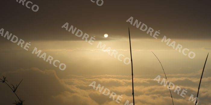 Fotografia 003