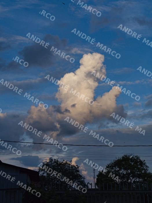 Fotografia 018